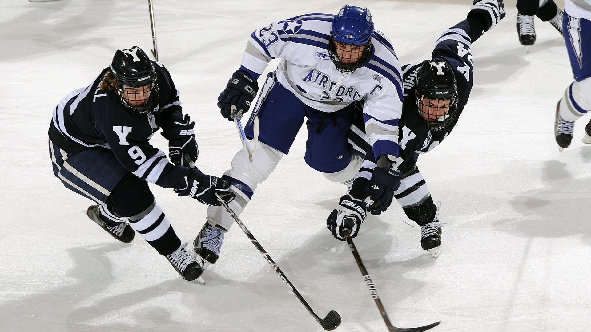 德甲争冠战焦点战，篮网粉碎灰熊，体育之夜的激情交响